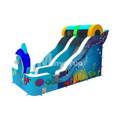 Blow Up Water Slide Bounce House